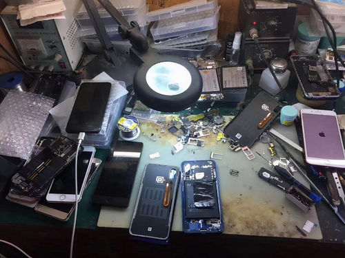 手机回收背后的秘密 高价收购为哪般？